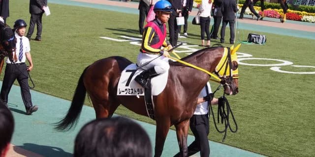 レーヴミストラル軸に点数を絞って当てたい金鯱賞