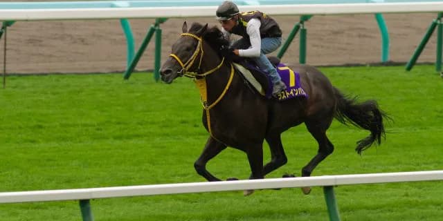 ラストインパクトが宝塚記念に向けてGⅠ獲りの気勢をあげる