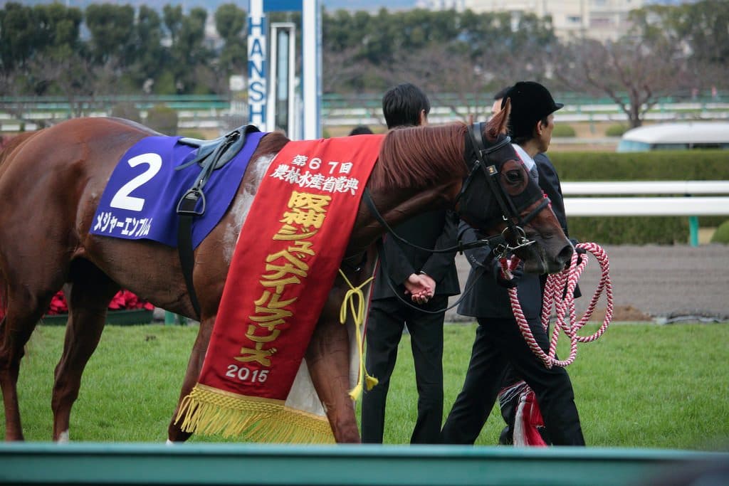 【阪神JF2015】1番人気のメジャーエンブレム優勝！C.ルメール騎手JRA移籍後G1初制覇達成！