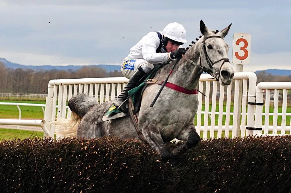 オグリキャップの再来！？ポッドガイ【全日本2歳優駿】