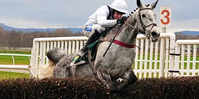 オグリキャップの再来！？ポッドガイ【全日本2歳優駿】