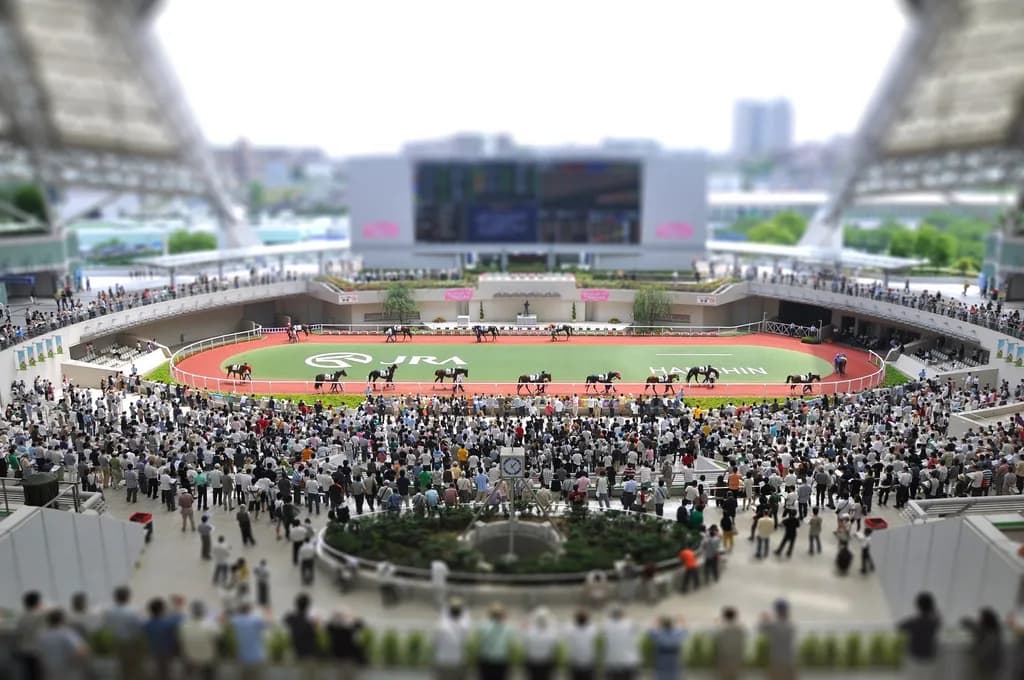【阪神JF2015予想】波乱多し！今年も混戦模様？主な有力馬4頭を紹介