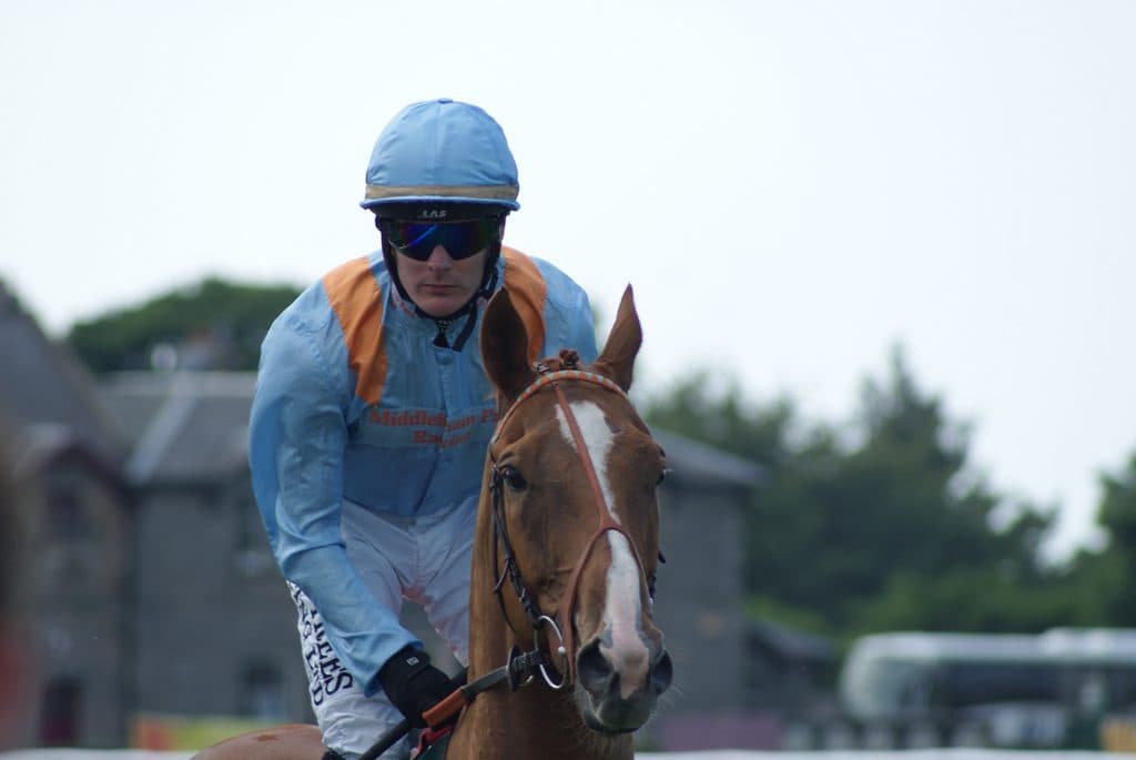 【ホープフルS予想2015】馬より騎手？中でも実績抜群のルメール騎手