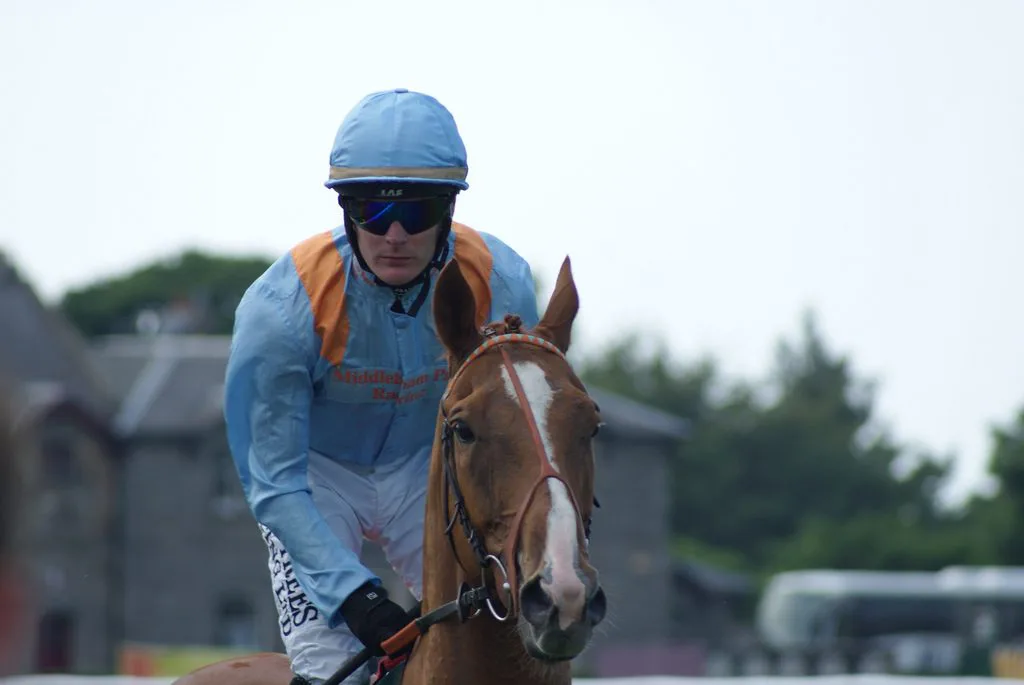 【ホープフルS予想2015】馬より騎手？中でも実績抜群のルメール騎手