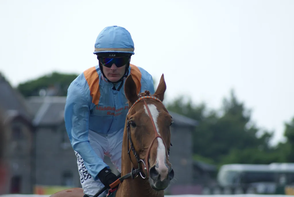 【ホープフルS予想2015】馬より騎手？中でも実績抜群のルメール騎手