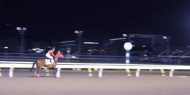 【全日本2歳優駿】1番人気のサウンドスカイ優勝！2歳ダートのチャンピオンに！