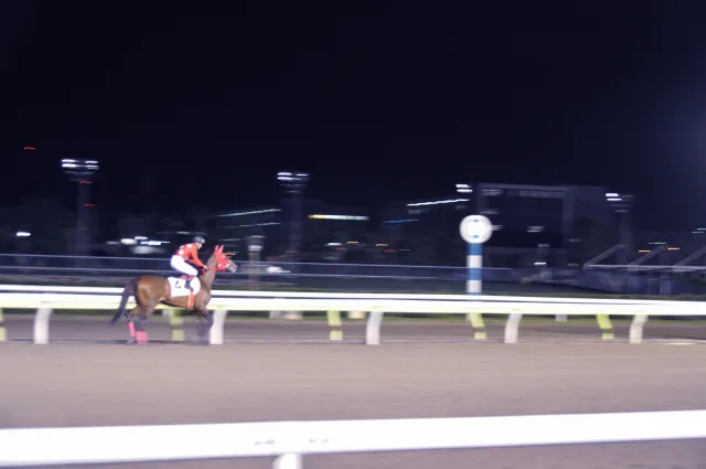 【全日本2歳優駿】1番人気のサウンドスカイ優勝!2歳ダートのチャンピオンに!