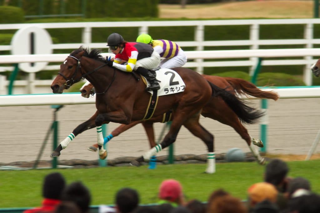 有馬記念不調で回避のラキシスそのまま引退が決定