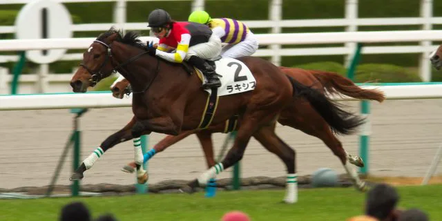 有馬記念不調で回避のラキシスそのまま引退が決定