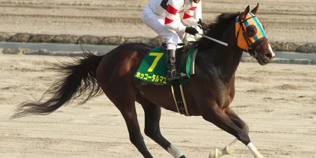 【東京大賞典】ホッコータルマエ前代未聞の三連覇&10個目のGⅠ制覇へ！