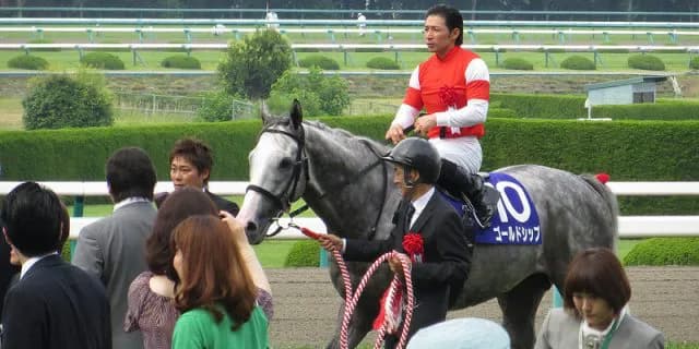 【有馬記念予想2015】史上最大の番狂わせとなる可能性も。
