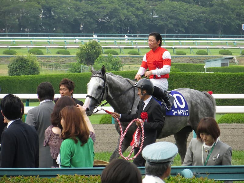 【有馬記念予想2015】史上最大の番狂わせとなる可能性も。