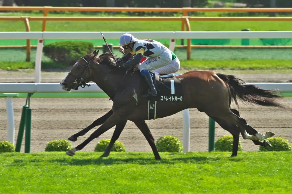 【香港スプリント】地元香港馬ペニアフォビアの勝利。ストレイトガールは9着