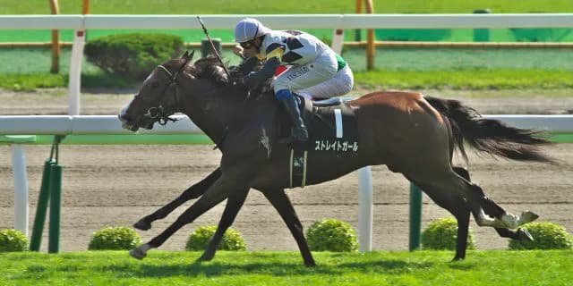 【香港スプリント】地元香港馬ペニアフォビアの勝利。ストレイトガールは9着