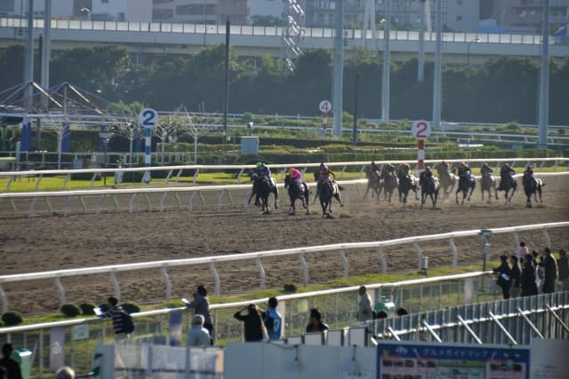 【チャンピオンズカップ2015】香港馬のガンピット、世界挑戦の第一歩