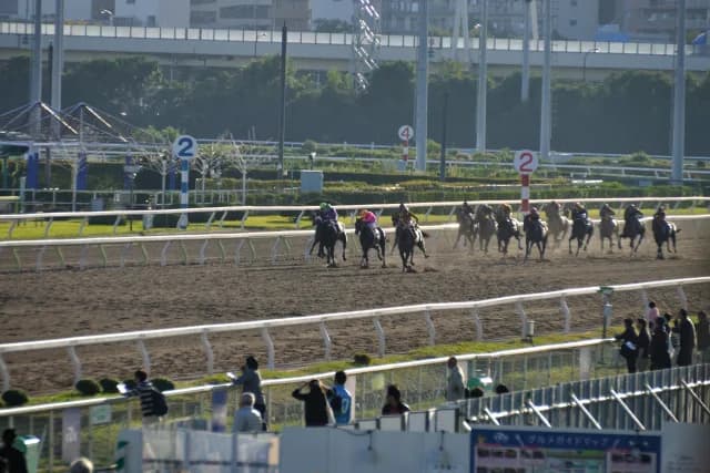 【チャンピオンズカップ2015】香港馬のガンピット、世界挑戦の第一歩