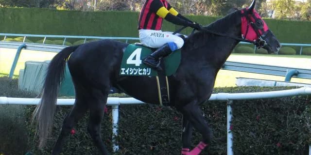 エイシンヒカリ欧州遠征第一弾イスパーン賞へ