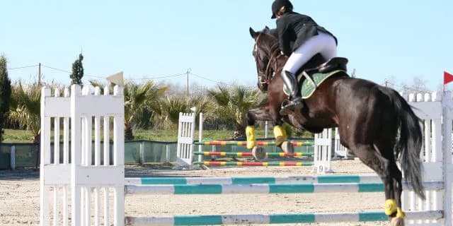 【京都ハイジャンプ2017予想】ミヤジタイガ、平地の脚で飛躍なるか？