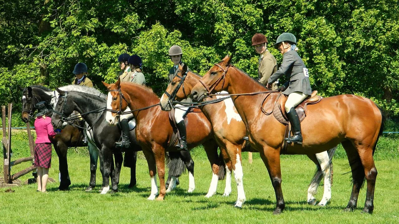2017年の英ダービーに日本馬参戦の可能性も？現在登録されている日本人馬主の日本馬3頭を紹介