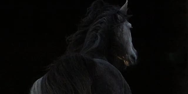 【有馬記念2015予想】有馬記念は最も？？な馬が勝つ？