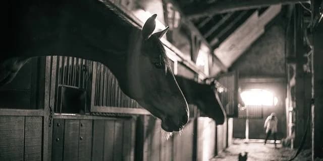 安田記念で脅威の強襲を見せたヴァンセンヌが引退