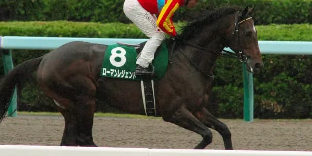 【東海S2016予想】古豪ローマンレジェンド、思い切りの良いレースに期待