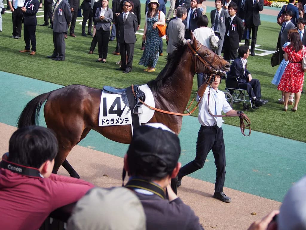 ドゥラメンテ始動、今年はドバイ優勝へ大きな期待