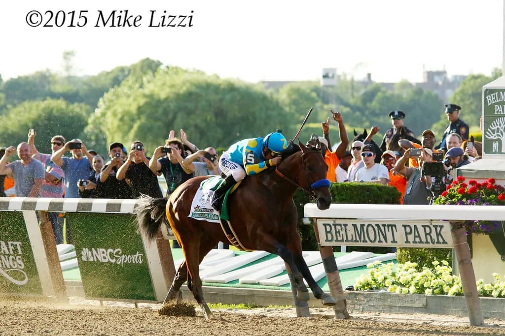アメリカンファラオ、今春から種牡馬としてデビュー