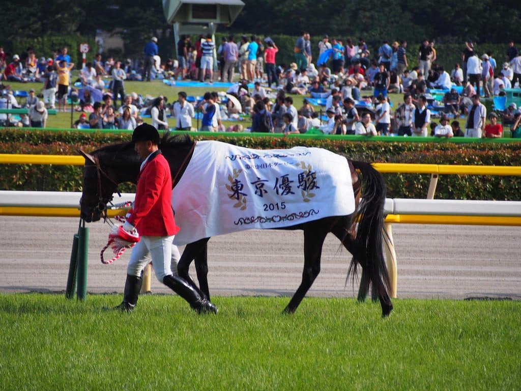 中山記念で復帰予定のドゥラメンテの展望は？