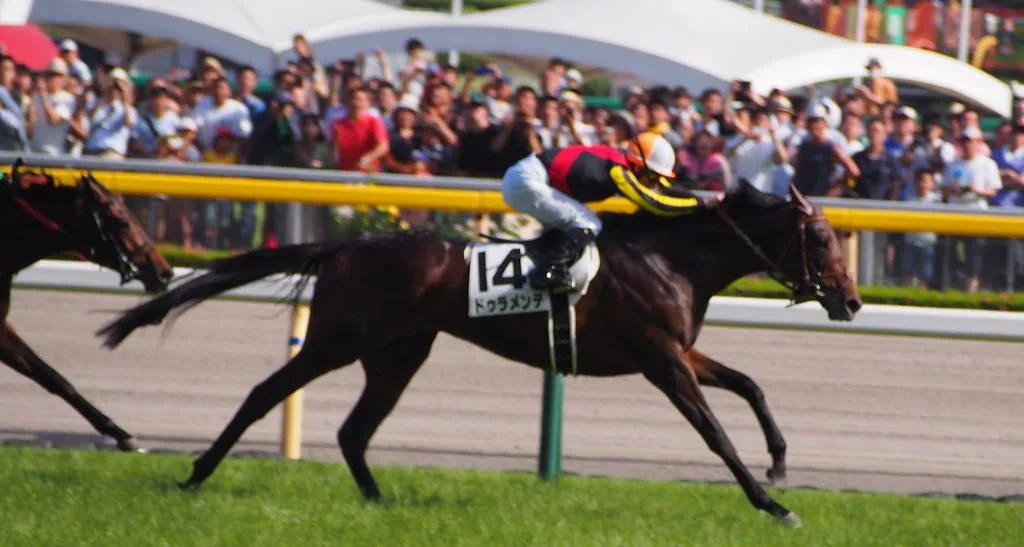 ドゥラメンテ帰厩、復帰戦は2月の中山記念か