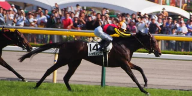 ドゥラメンテ帰厩、復帰戦は2月の中山記念か