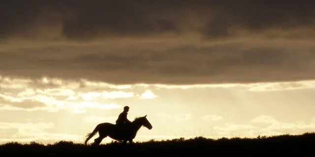 根岸S2016有力馬情報アンズチャン