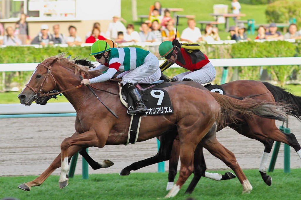 【中山金杯2016】一発あるならこの馬だ！