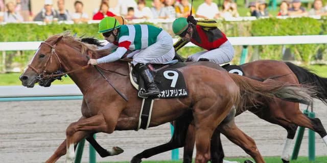 【クイーンエリザベス2世カップ予想2017】ネオリアリズム、日本勢のリベンジの立役者となるか？