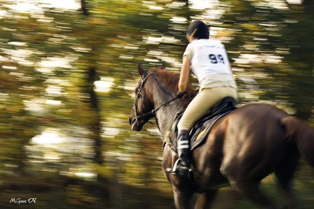 【京成杯2016予想】血統で人気する馬より妙味でブレイブスマッシュ！