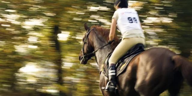 【京成杯2016予想】血統で人気する馬より妙味でブレイブスマッシュ！