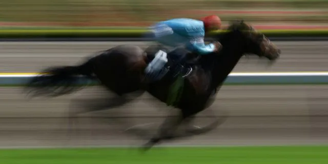 【マイラーズカップ2017予想】瞬発力勝負の展開も？！キレ味勝負ならプロディガルサン！