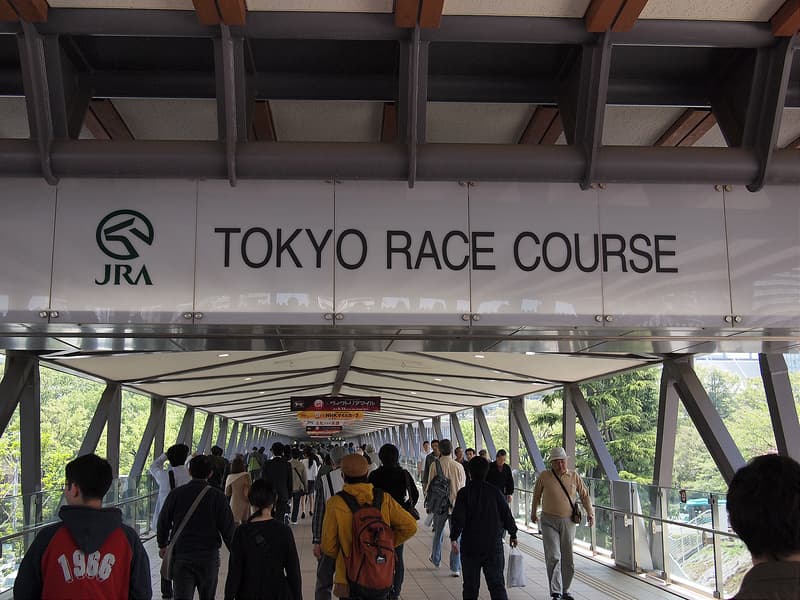 【白富士S予想2016】土曜メーン注目の3頭