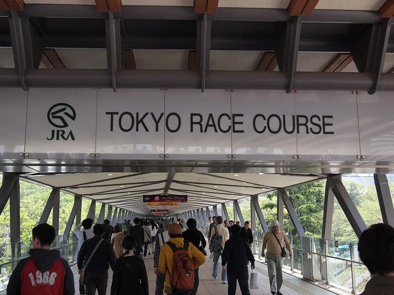 【白富士S予想2016】土曜メーン注目の3頭