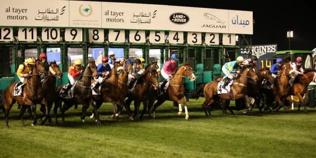 過去最多頭数での挑戦ながら少々小粒なドバイミーティング日本馬勢の予想