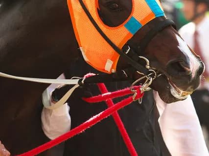 【川崎記念2016】ホッコータルマエ3連覇達成！G1・10勝でダート王者に！