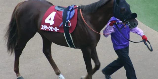 スクリーンヒーロー