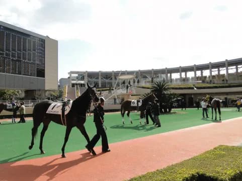 競馬初心者にオススメのパドックの見方