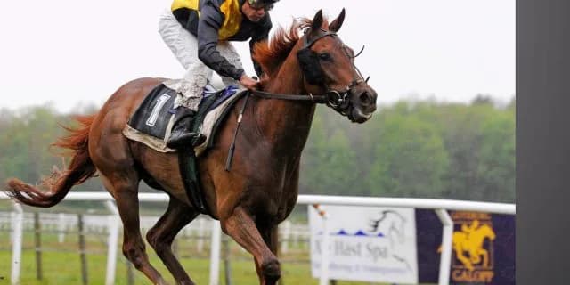 【若駒S予想2016】出世レースだったのは昔の話？今年の出走馬をチェック！