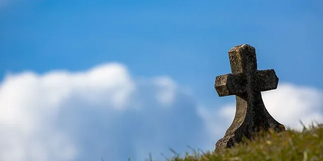 キングマンボ号(牡26)、老衰のため死す