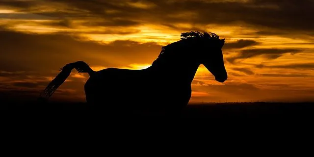 【フェブラリーS予想】ライバル不在の「一強他弱」