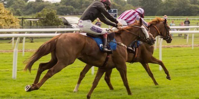 開幕週は逃げ・先行馬狙い。