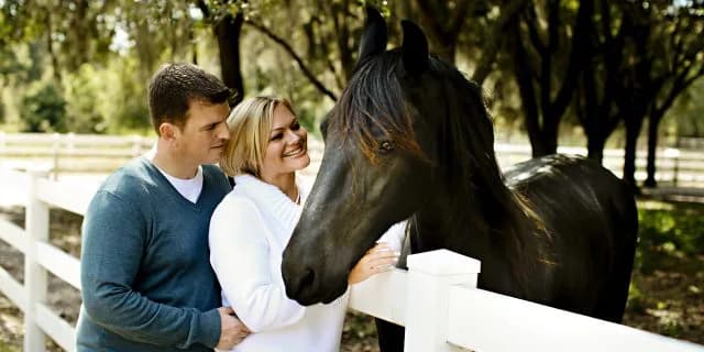 競馬の「一口馬主」は儲かるのか？夢とロマンに溢れた究極の趣味！