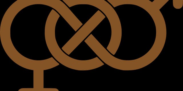 歴代最強配合？ステイゴールド・メジロマックイーンに続くニックスは