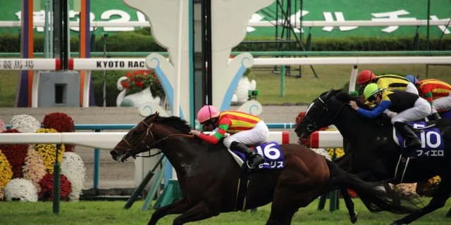 モーリス、ドバイワールドカップデーに参戦！